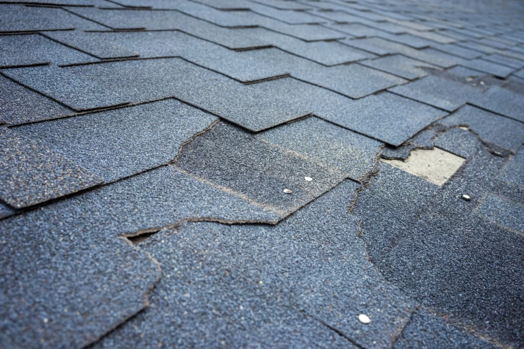 How To Spot And Handle Roofing Storm Damage In New Jersey 1 A close up of a roof shingle